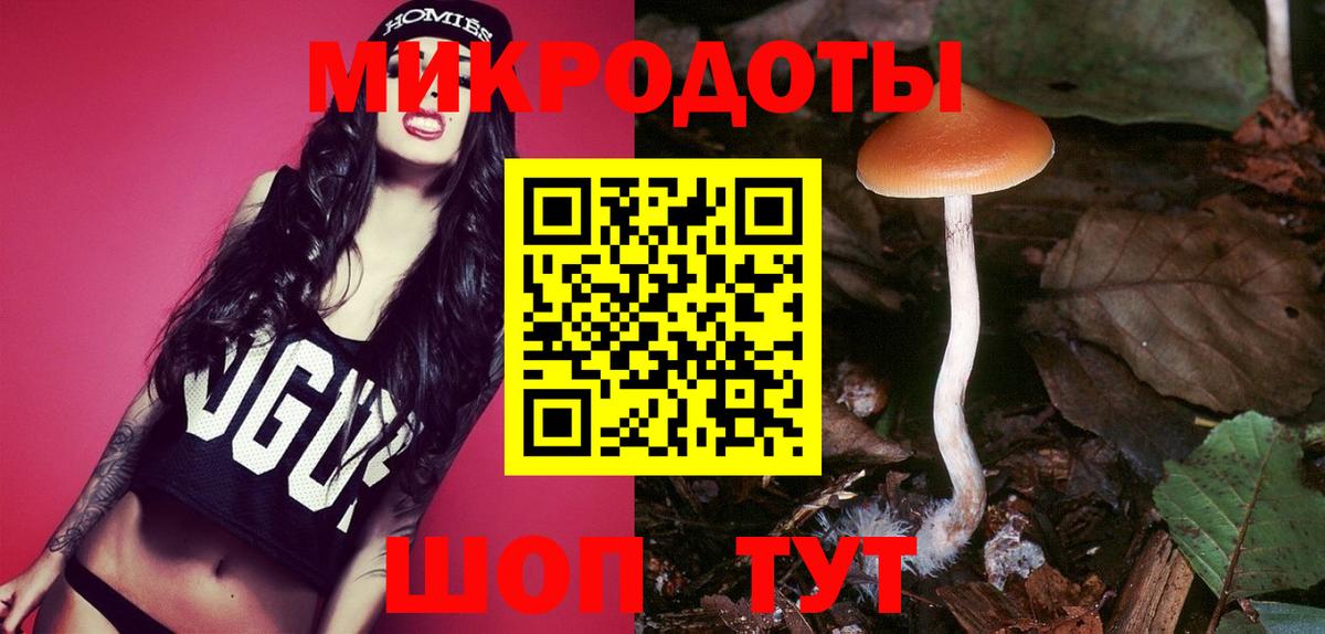 Галлюциногенные грибы Magic Shrooms  Галлюциногенные грибы Magic Shrooms  Горно-Алтайск  Вход с VPN 