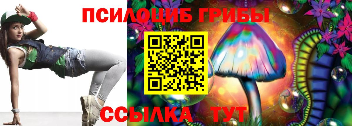 Псилоцибиновые грибы Psilocybine cubensis Горно-Алтайск